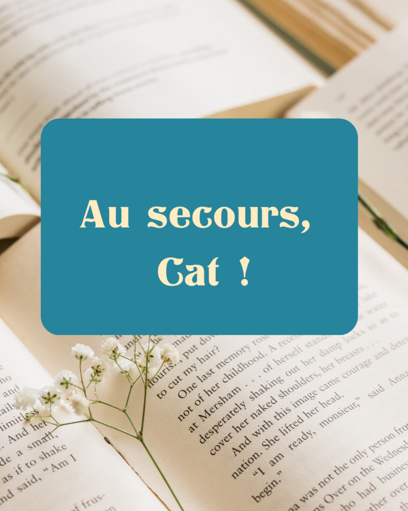 photo de livres avec le titre « au secours Cat » pour illustrer le coaching en écriture proposé par Catherine Loiseau pour Plumes Créatives